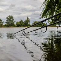 Fox Horizon X5 Black Rods 12ft